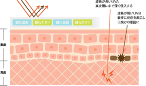 UVブロックの図